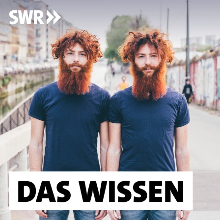 Junge Männer (Zwillinge) mit roten Haaren und Bart stehen gleichgekleidet auf einer Brücke: Die Zwillingsforschung kann mit immer raffinierteren Methoden die Wechselwirkung von Umwelt und Genen studieren.