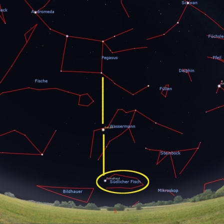 Eine schematische Darstellung des Nachthimmels und der Sterne aus der Astro-App Stellarium.