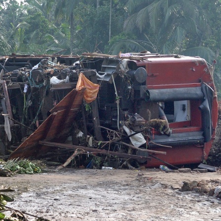 Ein zerstörter Zugteil liegt nach dem Tsunami im Dezember 2004 in Peraliya in Sri Lanka in einem Palmen-Wald.