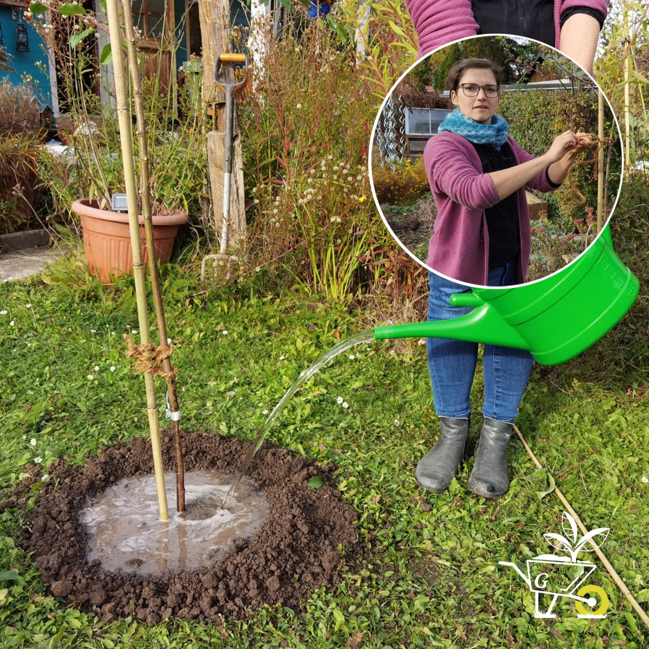 Komm mit in den Garten der ARD GartenPodcast · 19 Einen Baum im