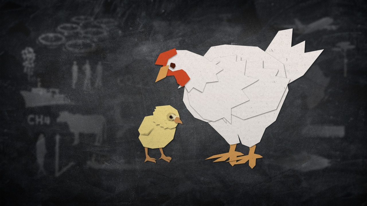 Was kannst du tun fürs Huhn? (S02/E04)