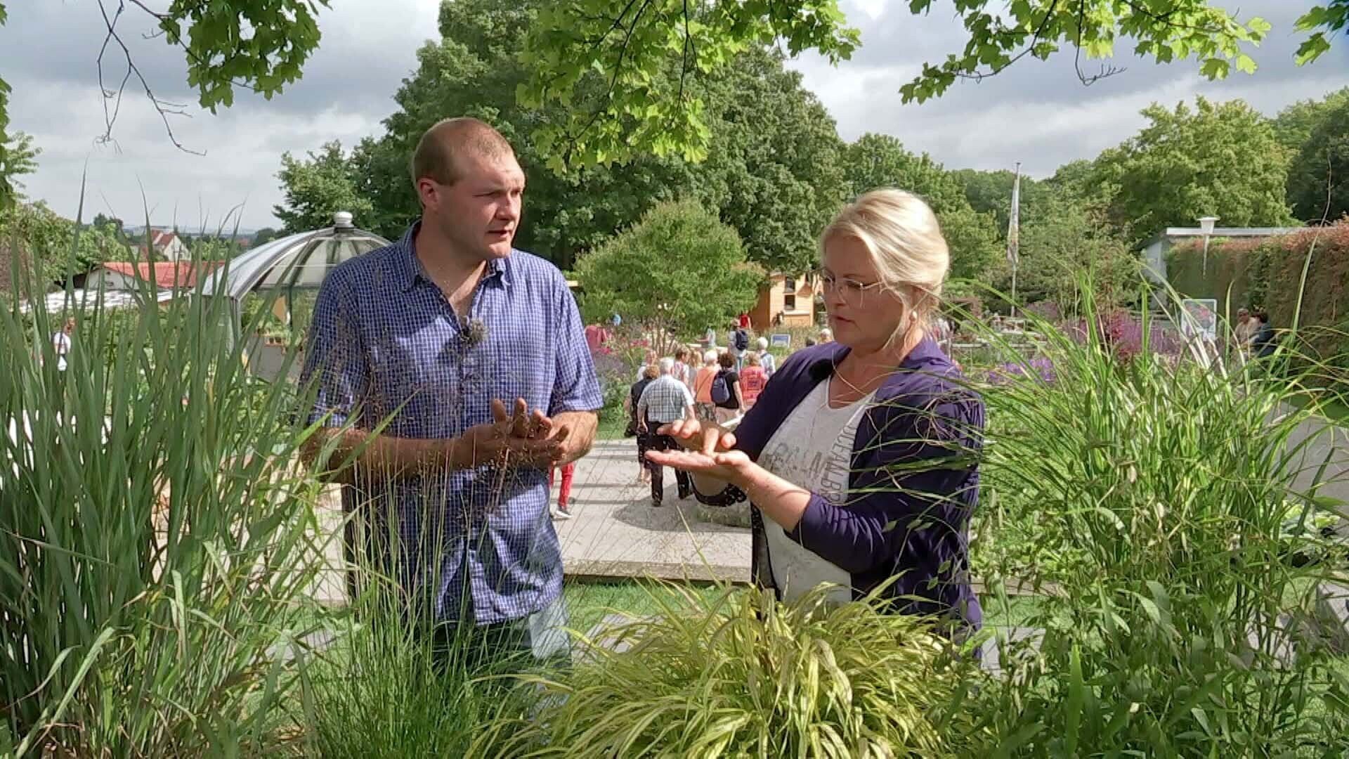 34+ Gartensendung Heute Im Tv, Infos und fotos zu ihrer serie im