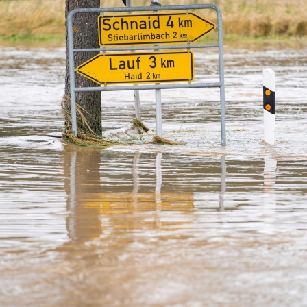 Polder und Dämme - Wie kann Bayern sich vor Überflutungen schützen?