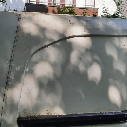 Unter dem Blätterdach eines Baumes sind viele sogenannte Sonnentaler zu sehen - ein Abbild der Sonne, das nach dem Prinzip einer Lochkamera erzeugt wird.