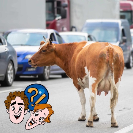 Können Tiere rückwärts gehen?