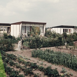 Eine Grafik zeigt eine Kleingartenanlage aus der DDR