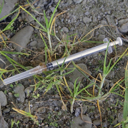 Eine Heroinspritze liegt auf sandigem Untergrund, umgeben von Grasbüscheln.