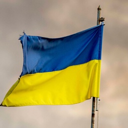 Die blau-gelbe Flagge der Ukraine weht im Wind vor grauem Himmel. Die Flagge ist an einer Ecke leicht eingerissen.