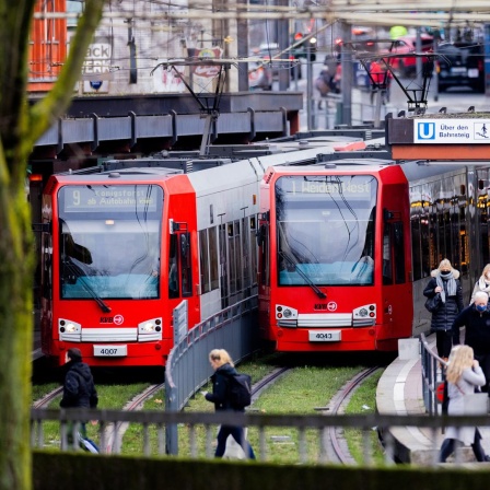 Zwei Straßenbahnen der Kölner Verkehrsbetriebe (KVB) stehen an einer Haltestelle.