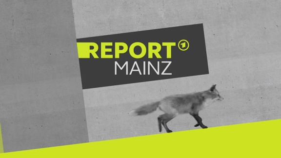 Report Mainz - Report Mainz Vom 26. Juli 2022