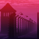 Illustration: WDR Hörspiel-Podcast "Dunkle Seelen": Der Wachturm und die Stacheldrahtzäune des KZ Auschwitz sind mit einem dunklen lila-rot hinterlegt.