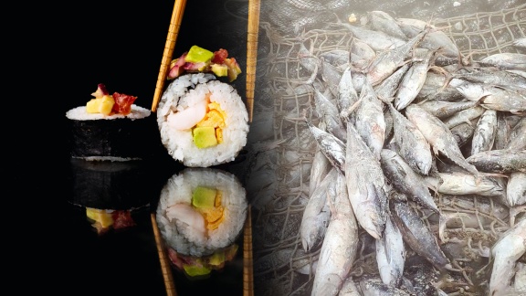 Story - Sushi-hunger - Lifestyle Mit Schattenseiten