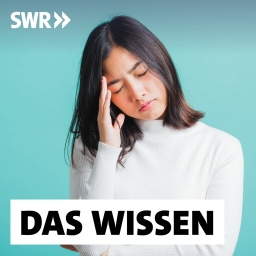 Junge Frau hat den Kopf zur Seite geneigt und hält sich die Schläfe: Ein Mensch leidet unter Schmerzen, Bluthochdruck oder Herzproblemen, aber die Ärztin findet keine körperlichen Ursachen, die das Ausmaß der Beschwerden erklären würden. Die Krankheit gilt dann als zumindest teilweise psychosomatisch bedingt.