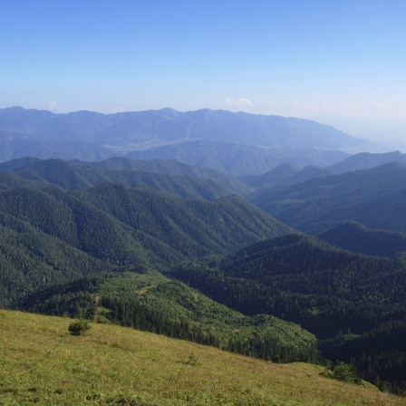 Landschaft im Borjomi-Kharagauli Nationalpark, Georgien.