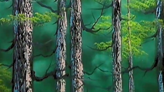 Bob Ross - Silent Forest