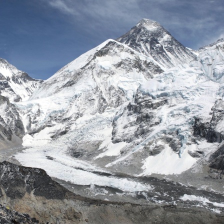 Der Mount Everest wird immer höher! | Achtung verschleppte Lungenentzündung - Mykoplasmen | Kraken und Fische jagen gemeinsam (95)