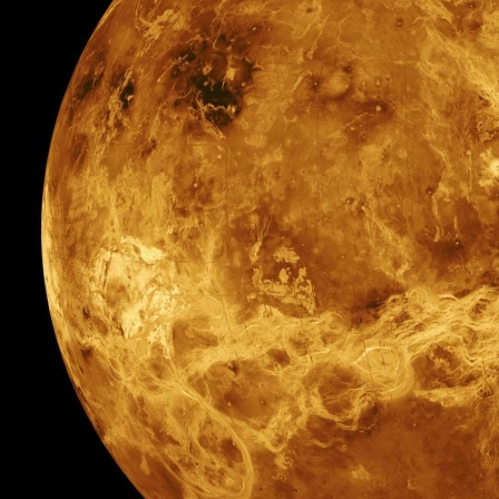 Radaraufnahme des Planeten Venus