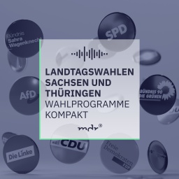 Wahlprogramme kompakt – vorgelesen von KI