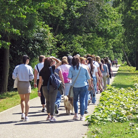 Girls Talking and Walking