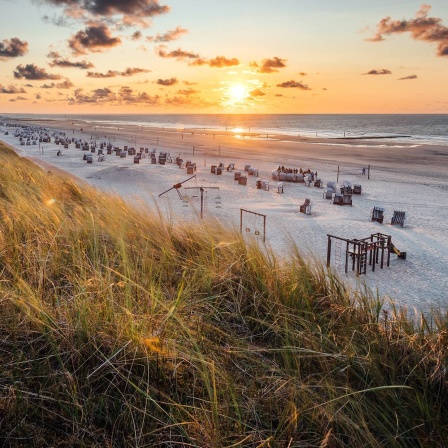Sonnenuntergang in den Dünen an der Ostsee