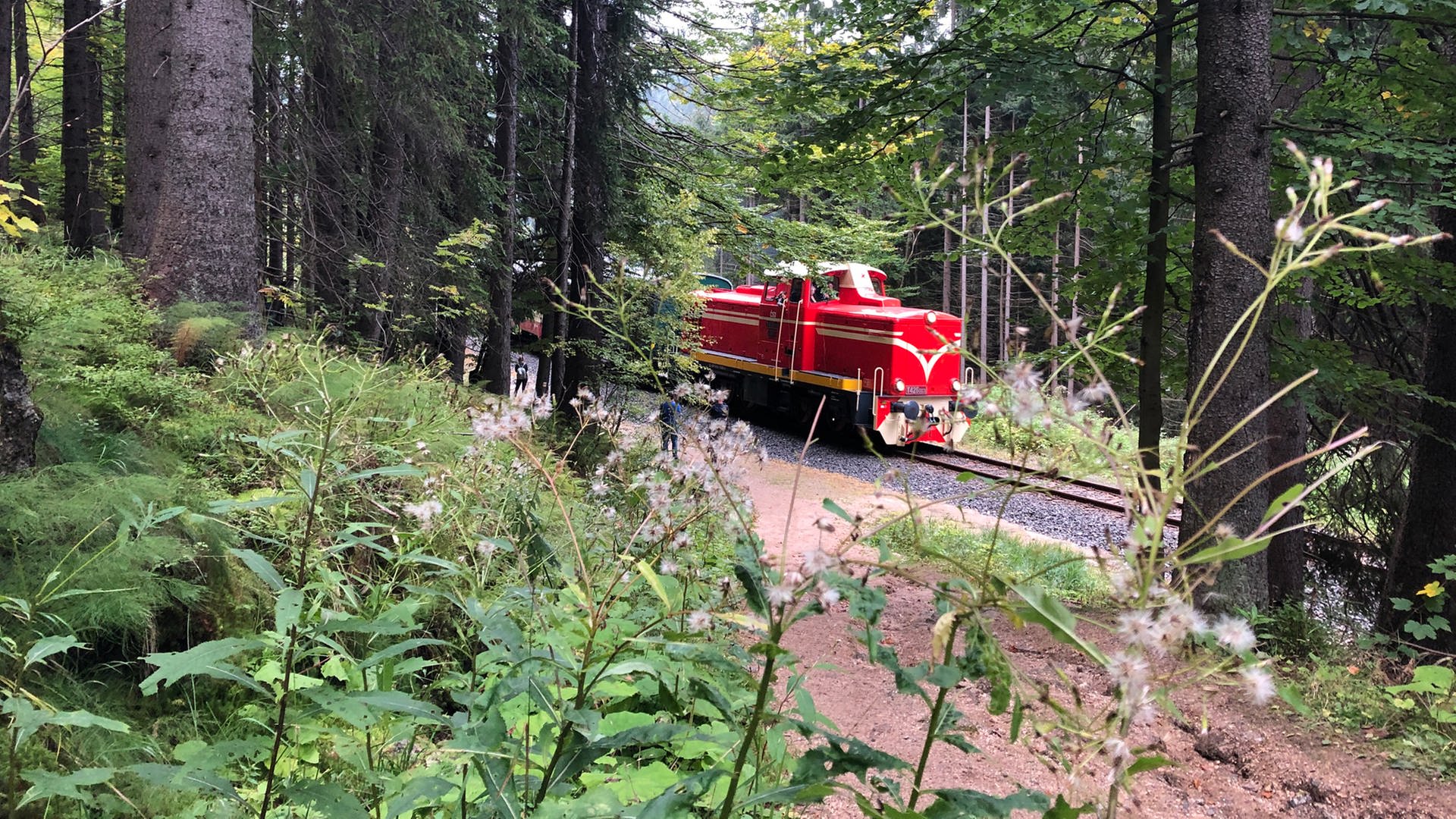 EisenbahnRomantik Die Zackenbahn von Tschechien nach Polen Ein Zug