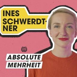 Ines Schwerdtner (Linke): Junge Männer nicht Rechten überlassen! - Thumbnail