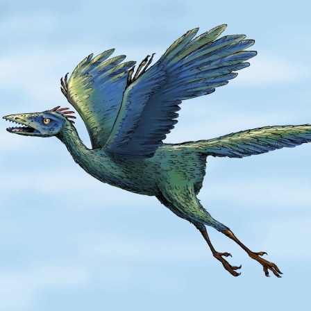 Fliegender Archaeopteryx