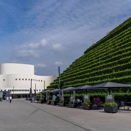 Grüne Fassade aus über 30.000 Hainbuchen