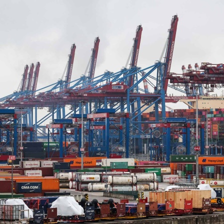 Container und Stückgut lagern auf dem Containerterminal Burchardkai (CTB) der Hamburger Hafen und Logistik AG HHLA