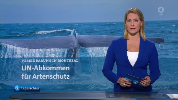 Tagesschau - Tagesschau, 20:00 Uhr