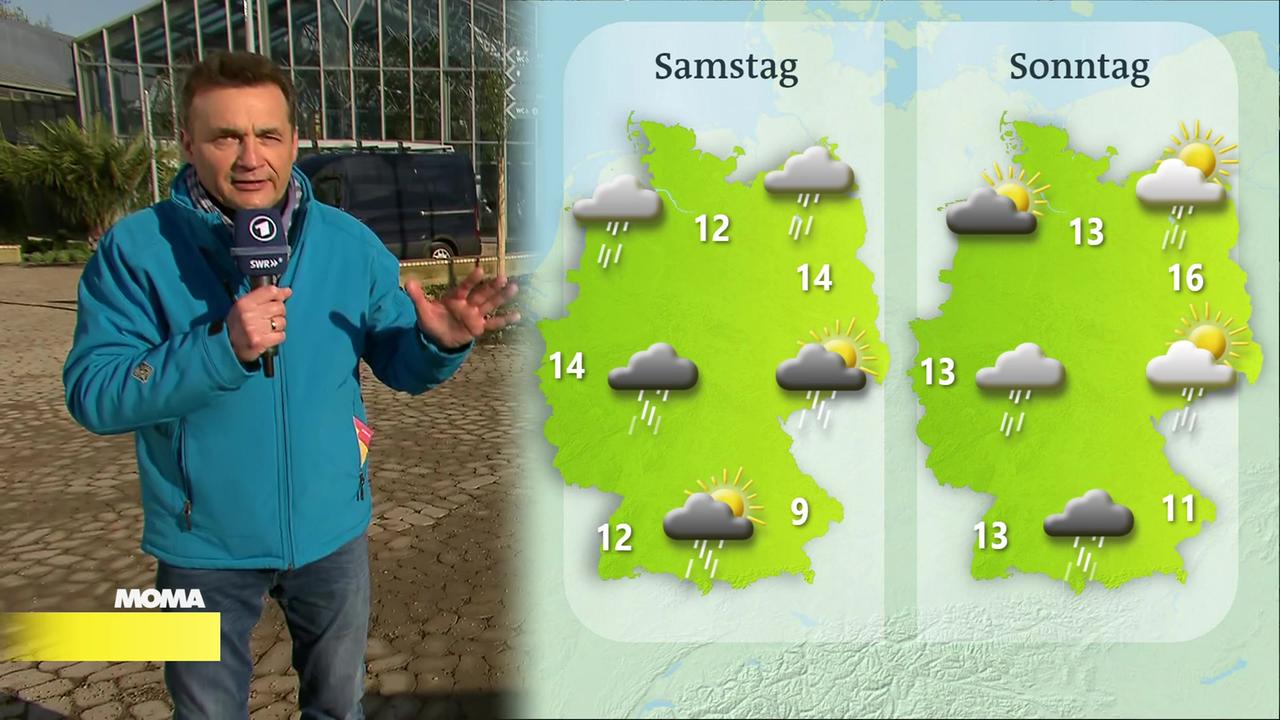 Morgenmagazin: Das Wetter: Live Von Der Bundesgartenschau In Mannheim ...