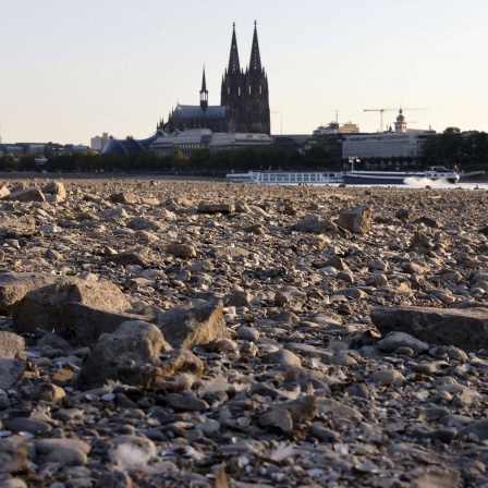 Der Rhein bei Köln bei Niedrigwasser