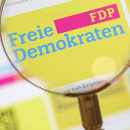 FDP Logo durch eine Lupe angesehen