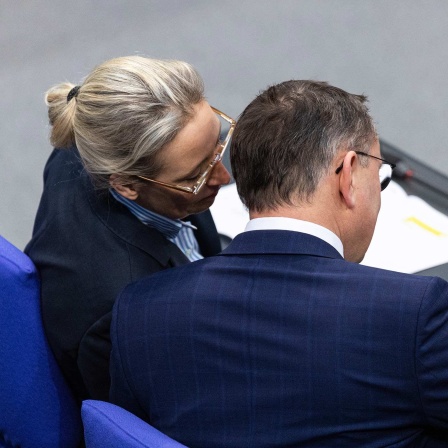 Alice Weidel (l), Fraktionsvorsitzende der AfD, und Tino Chrupalla, AfD-Bundesvorsitzender und Fraktionsvorsitzender, unterhalten sich im Bundestag.