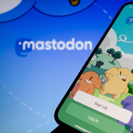 Ein Smartphone mit geöffneter Mastodon-App