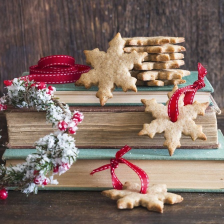 Weihnachtsplätzchen und Dekoration auf einem Stapel Bücher.