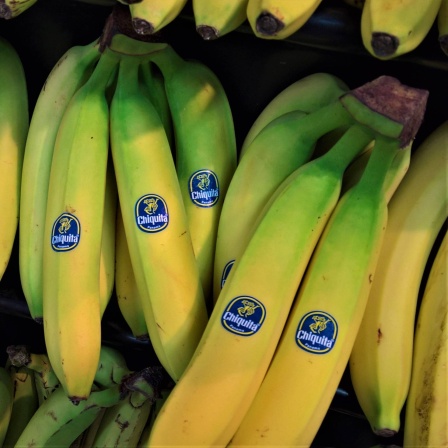 Chiquita Brands International Inc. ist eine Fruchthandels Gesellschaft und einer der groessten Bananenexporteure der Welt.
