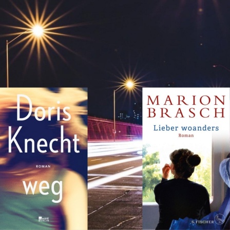 Buchcover links: Doris Knecht: "weg", Buchcover rechts: Marion Brasch: "Lieber woanders"