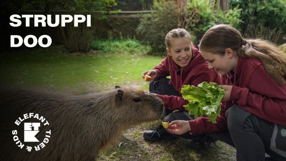 Kinderfilme Und Kinderdokus - Folge 21: Die Wildnis Ruft! (s02/e09)