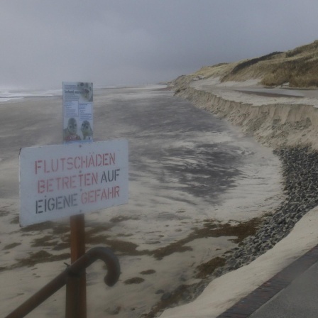 Beseitigung der Sturmschäden auf Wangerooge: Rieka Beewen, Tourismuschefin von Wangerooge