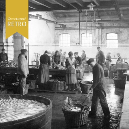 Historisches Foto zeigt die Arbeit mit Heringen in einer Fischfabrik in Bremerhaven.