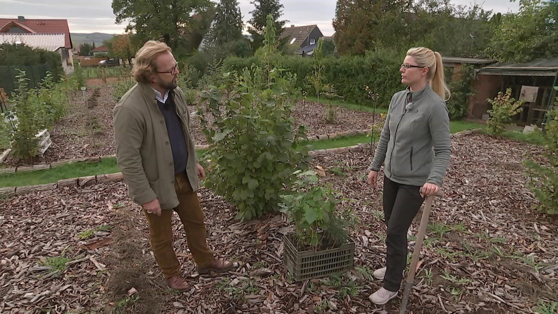 MDR Garten Pilzanbau Trüffel im eigenen Garten ARD Mediathek