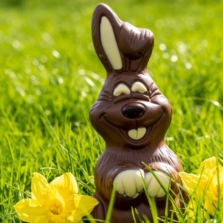 Ein Osterhase aus Schokolade auf einer Wiese.