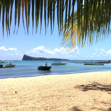 Ein Palmenstrand mit blauem Wasser und Booten - Idylle auf Mauritius