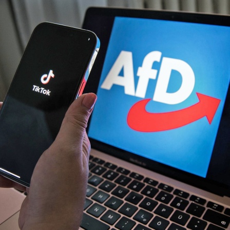 Eine Hand hält ein Smartphone, auf dem die TikTok-App zu sehen ist. Dahinter steht ein Laptop mit dem Logo der AfD.