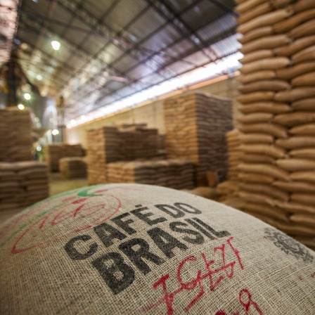 Exportfertige Kaffeesäcke in der Verarbeitungsanlage für Kaffeeplantagen in Carmo de Minas, Minas Gerais, Brasilien, Südamerika