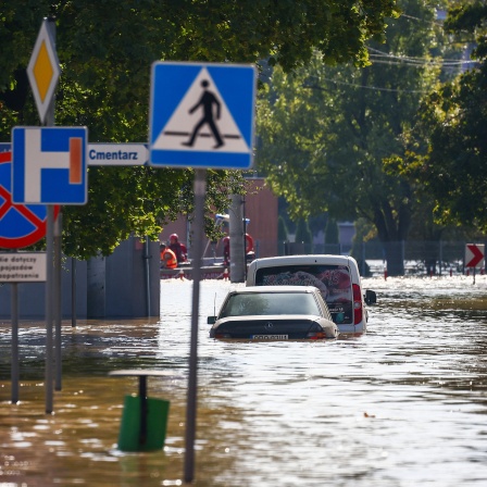 Pkws stehen auf einer vom Hochwasser überfluteten Straße