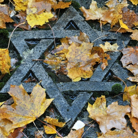 Auf dem jüdischen Friedhof in Erfurt liegt feuchtes Herbstlaub auf einem Grab mit dem Davidstern.
