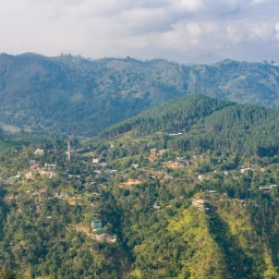 Panorama-Blick über eine in den Bergen gelegene Kleinstadt, die von viel Wald und Teeplantagen umgeben ist.