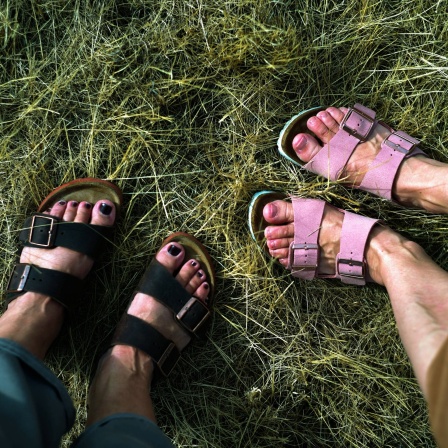 Im Gras Füße von zwei weiblich gelesenen Personen in Sandalen nach Art der Marke Birkenstock. Links eine Frau mit dunklen Schuhen und dunkel lackierten Fußnägeln, links eine Frau in hellrosa Sandalen